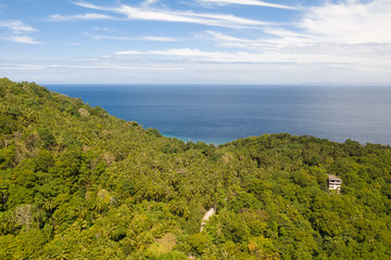 Fototapeta na wymiar Rainforest on the hills near the sea. Nature island Camiguin, Philippines, view from above.