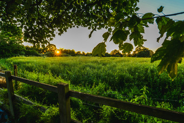 Sunset in the English countryside