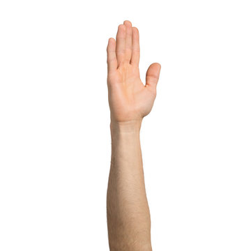 Adult man hand showing open palm gesture