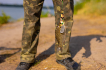 Little fish on the hook © antgor