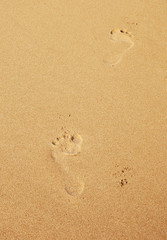 Fototapeta na wymiar barefoot prints on the sand beach