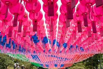 Close view of mostly pink and some blue lanterns at the Bongeunsa temple
