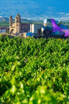 Elciego village, Wine region of la Rioja Alavesa, Alava, The Basque Country, Spain, Europe