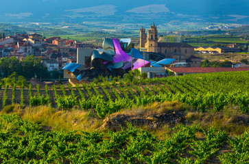 Elciego village, Wine region of la Rioja Alavesa, Alava, The Basque Country, Spain, Europe