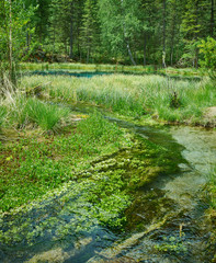 Blue Geysernoe Lake