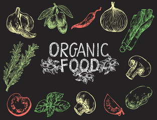 Hand drawn vector illustrations in sketch style. Ingredients for cooking: olives, hot peppers, tomato, onion, ets. Perfect for menu, cards, blogs, banners. Organic food set on the black background.