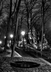 Black and white photo from a park under the Sacre Coeur tourist attraction in Montmartre Paris...