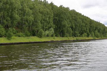 Bright green deciduous forest on the banks of the summer river