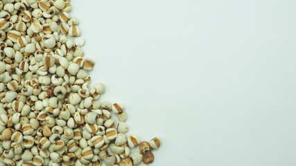 Job's Tears, also known as adlay and coix on white background. Popular in Asian cultures as a food source.