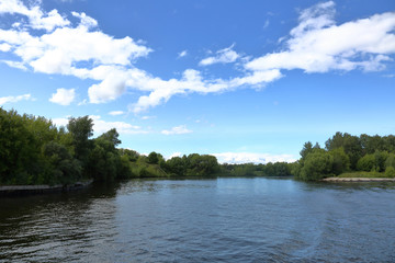 Naklejka premium Bright green deciduous forest on the banks of the summer river