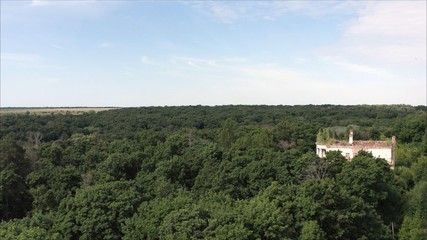 Takeoff drone over the forest. Take off over a thick forest. Transition to the master plan from the far horizon. Clear weather, a forest from a height.