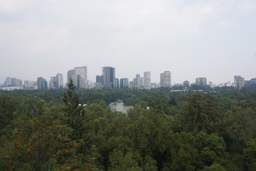 Fototapeta premium view of mexico city