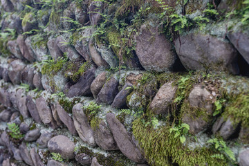 Masonry wall