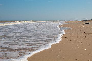 Sea shore. Beach. Sea of Azov. Copy space. There is a place for text. The concept of summer.