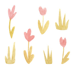 Set of watercolor wildflowers isolated on white background. Hand drawn painted flowers illustration.