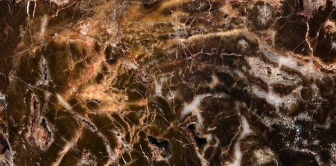 Textures from brown fossilized wood.