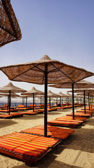 sandy beaches with umbrella and sunbeds in Egypt