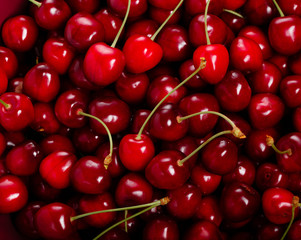 Fresh red ripe cherries with cuttings and leaves, abundant background Large collection of fresh red cherries