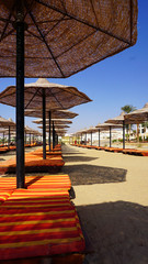 sandy beaches with umbrella and sunbeds in Egypt