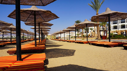 sandy beaches with umbrella and sunbeds in Egypt