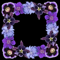 Beautiful floral background of aquilegia, chicory, clematis and gloxinia. Isolated