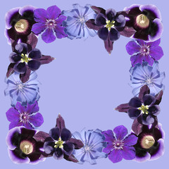 Beautiful floral background of aquilegia, chicory, clematis and gloxinia. Isolated