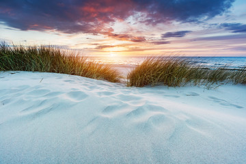 Grassy dunes and the Baltic sea at sunset - obrazy, fototapety, plakaty