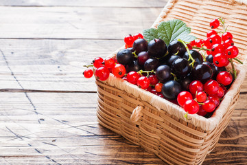 Fresh black and red currant berries in basket on wooden background with copy space.