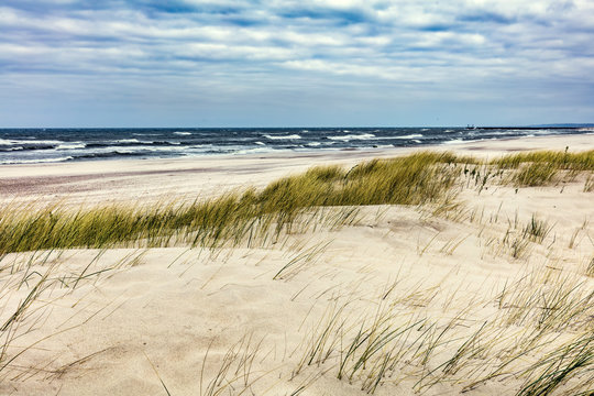 Grassy Dunes And The Baltic Sea At Sunset