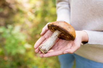 season, nature and leisure concept - close up of woman hands holding mushroom in forest