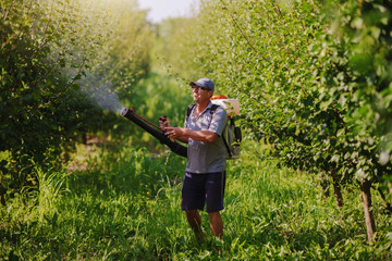 Caucasian mature peasant in working clothes, hat and with modern pesticide spray machine on backs...