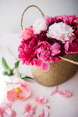 Beautiful blossoming fresh peonies in a wicker basket , tender pink peony bouquet in a vase and coral peony petals on the pink table, summer floral setup