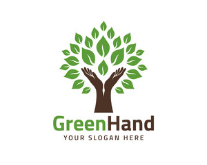 Obraz premium Human hands and tree with green leaves. Logo, symbol, icon, illustration, vector, template, design
