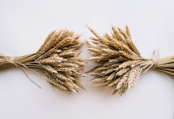 Two bunches of wheat tied up together on the white background, flat lay, minimalistic view