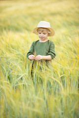 Naklejka na ściany i meble Happy girl walking in golden wheat, enjoying the life in the field. Nature beauty and field of wheat. Family outdoor lifestyle. Freedom concept. Cute little girl in summer field