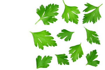 parsley isolated on a white background top view