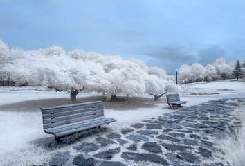 wall landscape infrared photo amazing nature lake with reflection white and blue.