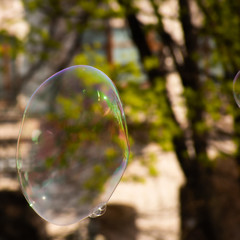 Bright soap bubble in square framing