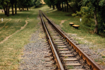 Obraz premium Old, rusty, abandoned railway rails, stretching into the distance. Grass grows around the railroad tracks. Abandoned railway. Transport background.