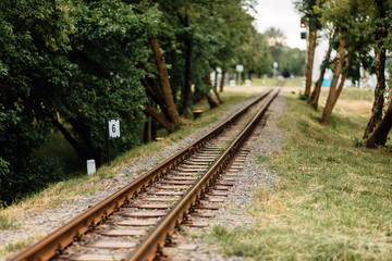 Fototapeta premium Old, rusty, abandoned railway rails, stretching into the distance. Grass grows around the railroad tracks. Abandoned railway. Transport background.