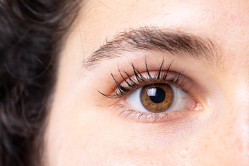An extreme close up view on the brown eye of a sexy young Caucasian woman with black hair. Long black lashes and a healthy complexion. Copy space on the left.