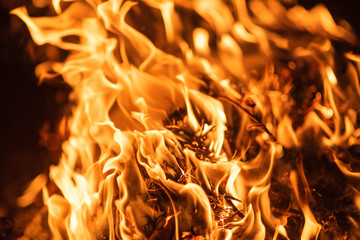 Large burning fire with soft glowing flame and sparkling around.Fire flames on black background