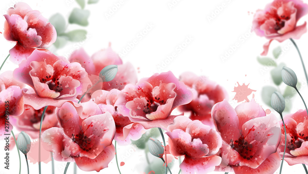 Wall mural poppy pink flowers background vector watercolor. summer floral decor frames