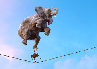 Elephant balancing on the tightrope high in the sky above clouds. Life balance, stability, concentration, risk, equilibrium concept over blue sky background. Surreal 3D illustration with copy space - obrazy, fototapety, plakaty