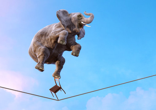 Elephant balancing on the tightrope high in the sky above clouds. Life balance, stability, concentration, risk, equilibrium concept over blue sky background. Surreal 3D illustration with copy space