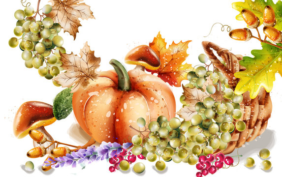Autumn fall vegetables Vector watercolor. pumpkin, sunflower and mushrooms illustrations