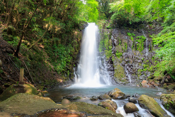 白糸の滝　shiraito waterfall 熊本県阿蘇市
