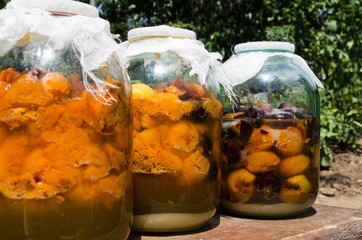 Homemade tincture made of apricot, pulm.Bottles full of sweet fruits, sugar.Process of fermentation