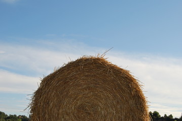 bale of straw in a field