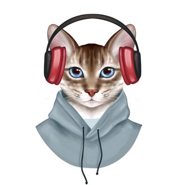 Cute cat listening a music. Cute digital illustration